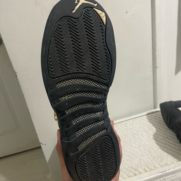 jordan 12 ‘the master’